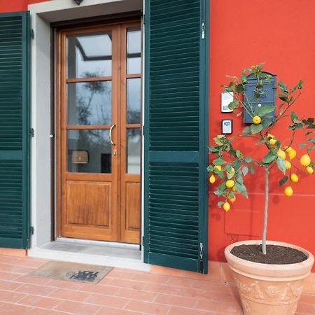 Lemon Garden House Apartment San Miniato Basso Luaran gambar
